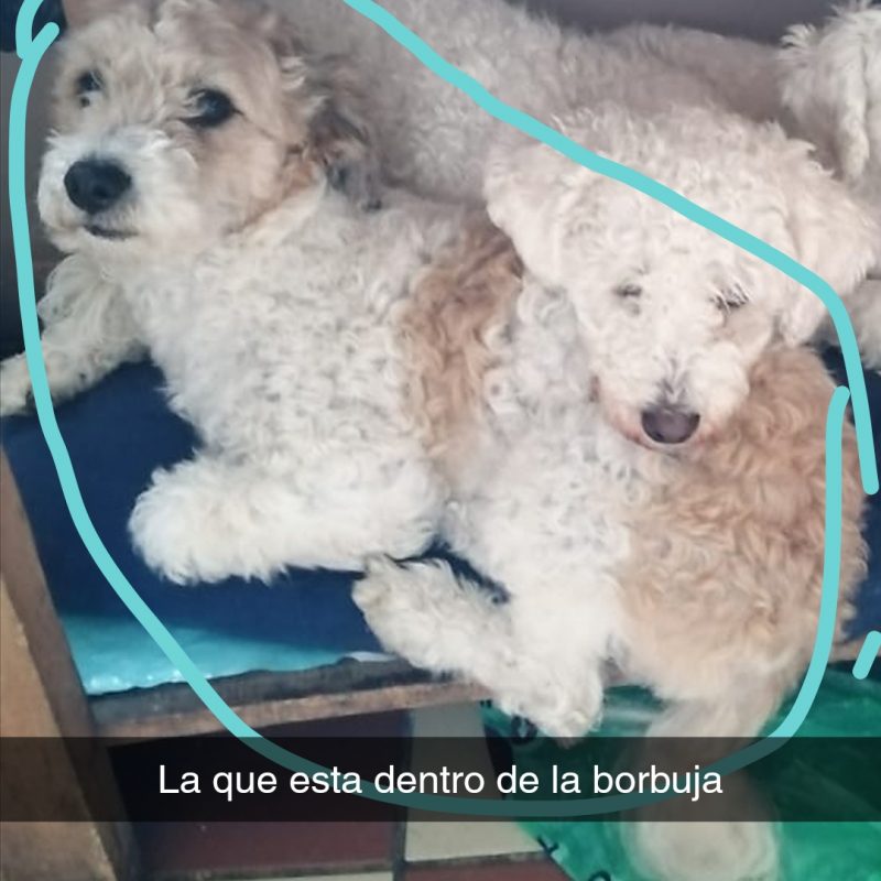 Snapchat-1022236810.jpg