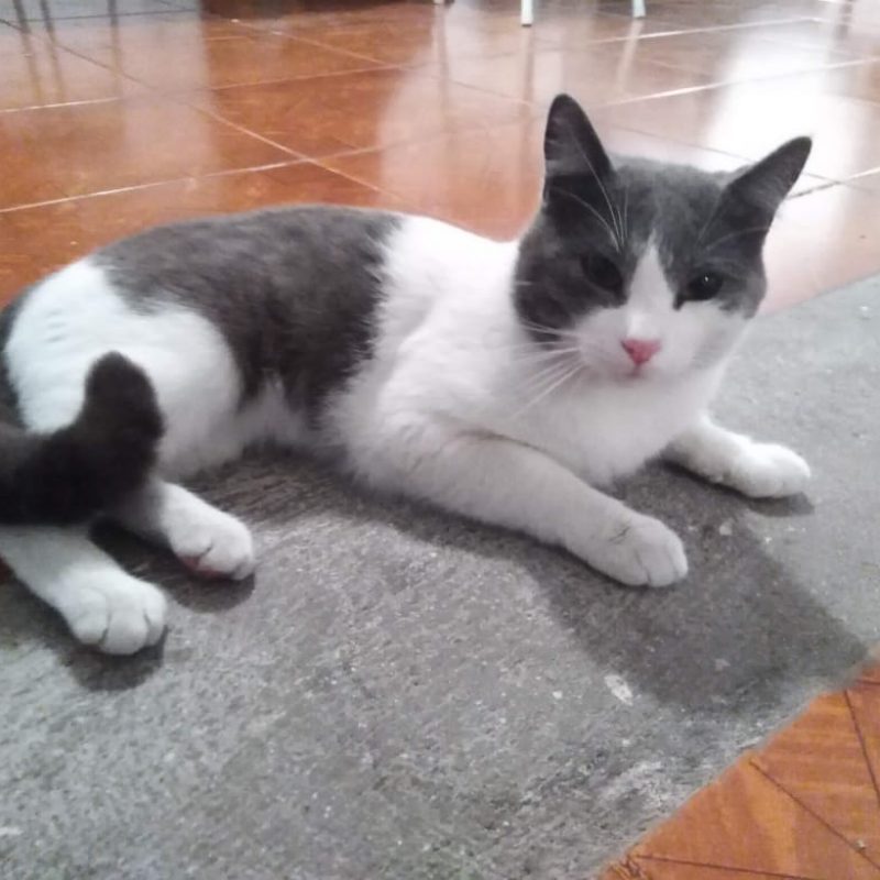 tono.jpg